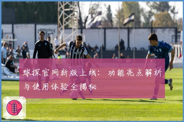 球探官网新版上线：功能亮点解析与使用体验全揭秘