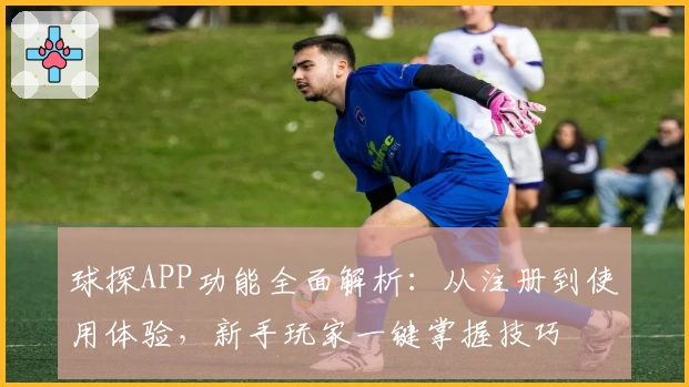 球探APP功能全面解析：从注册到使用体验，新手玩家一键掌握技巧
