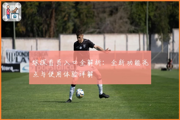 球探首页入口全解析：全新功能亮点与使用体验详解