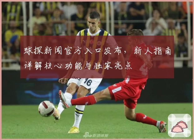 球探新闻官方入口发布，新人指南详解核心功能与独家亮点