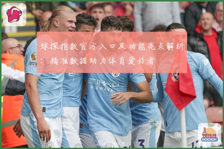 球探指数官方入口及功能亮点解析：精准数据助力体育爱好者